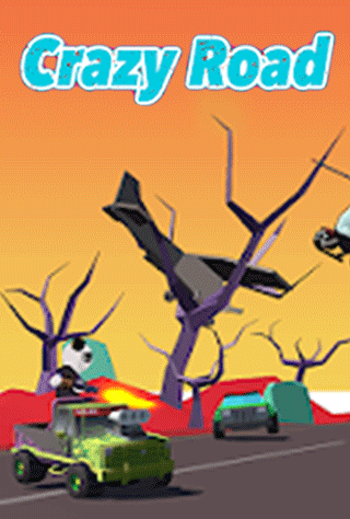 CrazyRoad